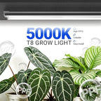 Barrina T8 Grow Light for Indoor Plant, Full Spectrum, 4FT 5000K, 4 Packs - Image 2