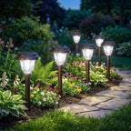 DERAYSION Solar Lights Outdoor, 6 Pack Brushed Stainless Steel Glass Solar Pathway Lights, Auto On/Off Long-Lasting Outdoor Solar Lights for Garden, Landscape, Path, Yard, 6000K Cold White - Image 2