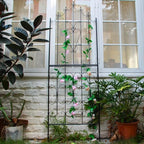 Metal Trellis 86.6" H x 29.5" W Powder-Coated Black Attractive Plant Support Garden Trellis Stylish Garden Addition Lattice Outdoor Yard Décor Roses Vine Ivy Clematis Trellises Black - Image 2