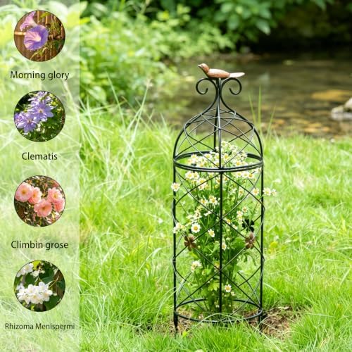 Obelisk Trellis 26" Metal Garden Support for Climbing Plants - Image 5