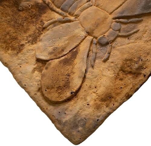 Athens Bee Stepping Stone, Rust - Image 7