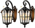 VIANIS Outdoor Lights for House, Black Dusk to Dawn Outdoor Lights, 2-Pack by VIANISLIGHTING