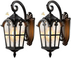 VIANIS Outdoor Lights for House, Black Dusk to Dawn Outdoor Lights, 2-Pack by VIANISLIGHTING