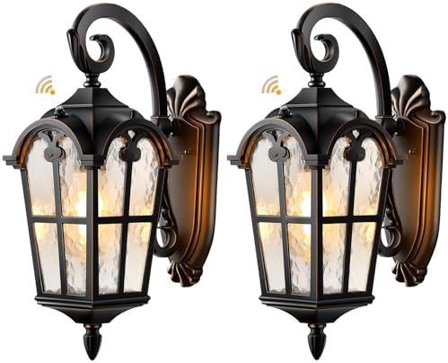 VIANIS Outdoor Lights for House, Black Dusk to Dawn Outdoor Lights, 2-Pack by VIANISLIGHTING