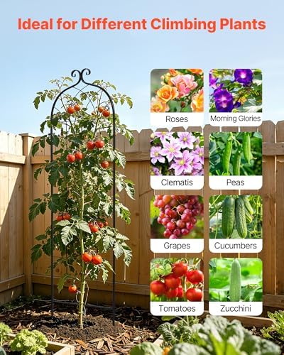 VEVOR 6 Packs Metal Garden Trellis for Climbing Plants Outdoor 71x20in, Rustproof Plant Tall Trellis for Rose Vine Flowers and Vegetables - Image 5