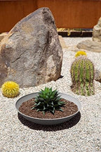 Veradek Mason Series Lane Bowl Planter-Large Round Planter for Indoor or Outdoor Tabletops/Gardens |Made from Plastic & Concrete with Drainage Holes|Modern Décor for Flowers, Succulents, Small Plants - Image 4