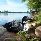 Loon Outdoors Bird Garden Decor Backyard Birds Statues Cute Sculpture by Juliahestia