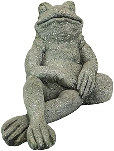 Design Toscano FU84648 The Most Interesting Toad in The World Frog Garden Outdoor Statue, One Size, Gray - Image 2