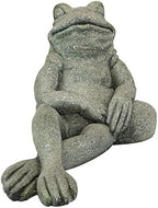 Design Toscano FU84648 The Most Interesting Toad in The World Frog Garden Outdoor Statue, One Size, Gray - Image 2