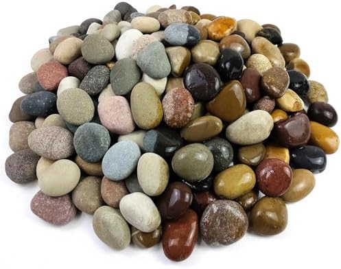 FANTIAN 10 lbs River Rocks for Aquarium, 1-2 Inch Natural Pebble for Plants - Image 3