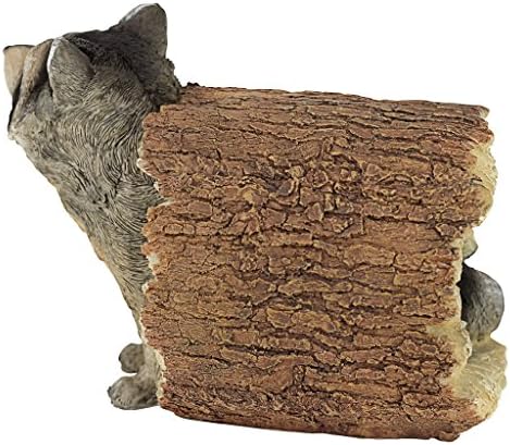 Design Toscano Bandit the Raccoon Indoor/Outdoor Garden Animal Statue, 10 - Image 3