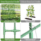 Cucumber Trellis for Raised Beds, 31 X 47 Inch Adjustable Size A-Frame Garden Trellis for Climbing Plant Outdoors with Climbing Net and Plant Support Clip for Vegetable Grape Tomato Garden Supplies - Image 4