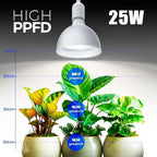 Barrina Grow Light Bulbs for Indoor Plants, 25W 5000K, 4H/9H/14H Timer - Image 2