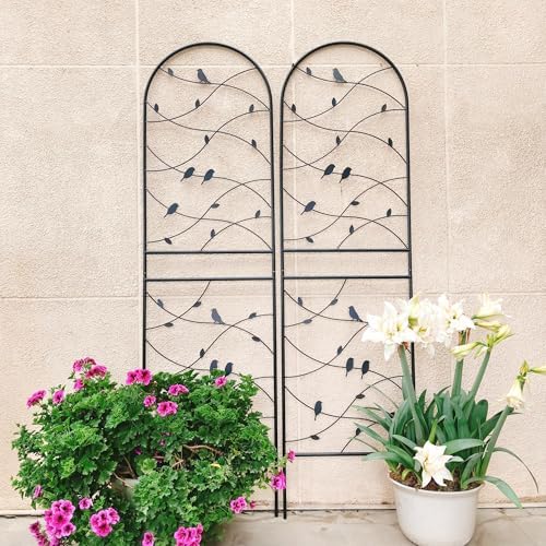 Garden Trellis for Climbing Plants Outdoor, 2-Pack 71" Metal Rustproof - Image 5