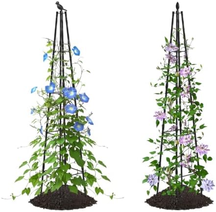 AlisisFores Garden Trellis, 63 inch Tall, 2 PCS by AlisisFores