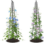 AlisisFores Garden Trellis, 63 inch Tall, 2 PCS by AlisisFores