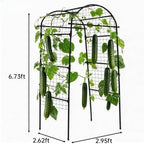 Garden Arch Trellis for Raised Beds, 6.8x3x2.6FT Plant Support for Cucumbers, Melons, Grapes, Roses & Climbing Vegetables, Outdoor Rust-Resistant Trellis for Vertical Growing, Black - Image 2