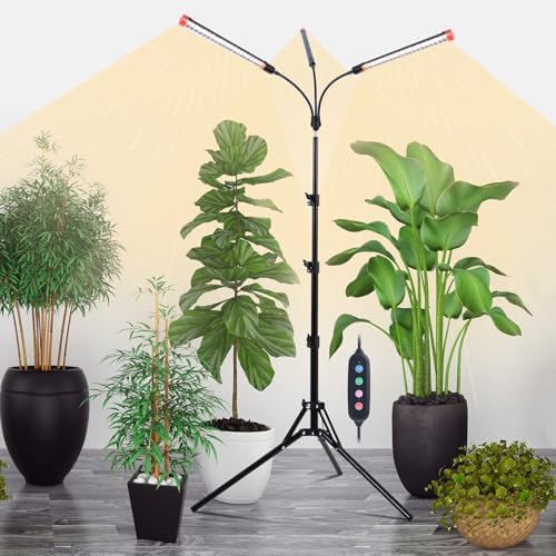 3Head Standing Grow Light for Indoor Bonsai Tree, Seed Starting by OrchbloomGrowLight