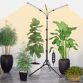 3Head Standing Grow Light for Indoor Bonsai Tree, Seed Starting by OrchbloomGrowLight