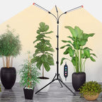 3Head Standing Grow Light for Indoor Bonsai Tree, Seed Starting by OrchbloomGrowLight