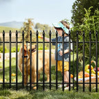 Thealyn 32" H x 24" W Metal Garden Fence with Gate, Animal Barrier, 10 Ft - Image 4