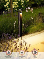 LEONLITE 6-Pack 5CCT Low Voltage Landscape Path Lights, 12-24V AC/DC - Image 5