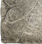 BestNest Set of 2 Athens Dragonfly Stepping Stones, Pre Aged - Image 6