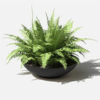 Veradek Mason Series Lane Bowl - Large Outdoor Bowl Planter - Image 7