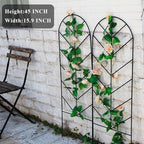 2 Pack Black Metal Garden Trellis 45"H x 15.9"W for Climbing Plants - Image 5