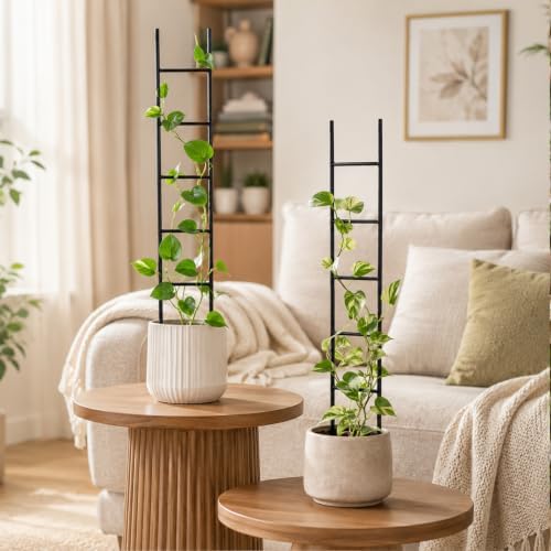 2PCS Indoor Plant Trellis, Sturdy Ladder Trellis for House Plant - Image 2