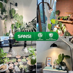 SANSI Grow Lights for Indoor Plants, 36W Plant Lights for Indoor Growing - Image 6