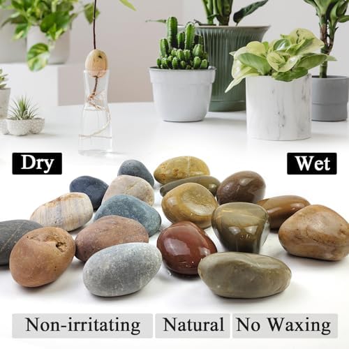 Large River Rocks for Landscaping, 3-4 Inch Mixed Colors Pebbles for Plants and Garden, Premium Rocks for Flower Beds, Indoor Fountains, Paths, Backyards, Fish Tanks(20lbs Bulk) - Image 2