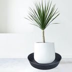 LWALRS Plant Saucer 18 Inch, Extra Large Planter Saucer 2 Pack, Plastic Plant Saucers for Indoors and Outdoors, Plant Pot Saucers, Drainage Tray for 16, 17, 18 in Planters - Image 6