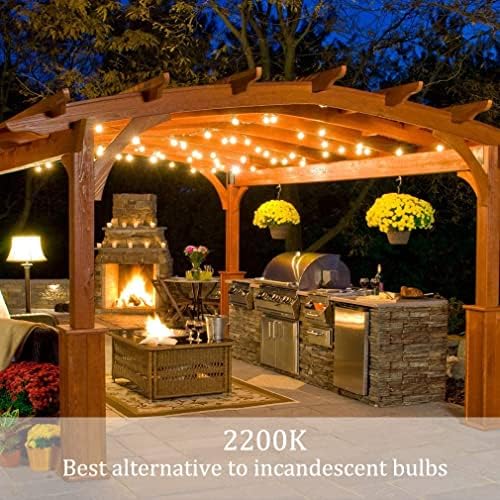 Outdoor String Lights 48ft with 23+2 Spare Bulbs, Shatterproof Dimmable Waterproof, LED 1W 60LM 2200K Warm Glow for Indoor/Outdoor Decoration and Lighting -Black Wire - Image 4