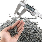 18lb Small Smooth River Rocks Pebbles for Plants & Succulents, Decorative Outdoor Landscaping Garden Rocks, Natural Mexican Beach Pebbles, Gravel for Aquarium, Fish Tanks, Vase and Yard Decor - Image 2