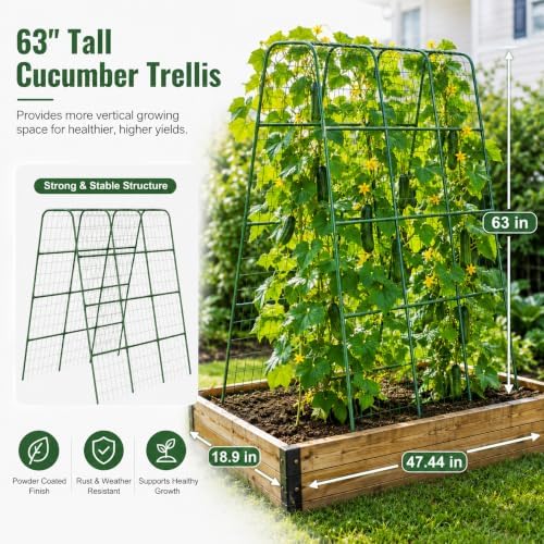 63" Tall Garden Trellis for Climbing Plants, 16mm Heavy Duty Metal Frame Cucumber Trellis with Netting, 20 Plant Clips, Easy Assembly Vegetable Trellis for Tomatoes, Beans, Peas, Raised Bed - Image 2