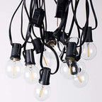 Outdoor String Lights 48ft with 23+2 Spare Bulbs, Shatterproof Dimmable Waterproof, LED 1W 60LM 2200K Warm Glow for Indoor/Outdoor Decoration and Lighting -Black Wire - Image 7