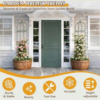 Garden Trellis for Climbing Plants, Tomato Cage, Rose, Flowers, Grape, Pea, Cucumber Trellis, Rustproof Plastic Coated Metal Plant Support for Potted Plants Indoor Outdoor - 2PC Plant Trellis - Image 2