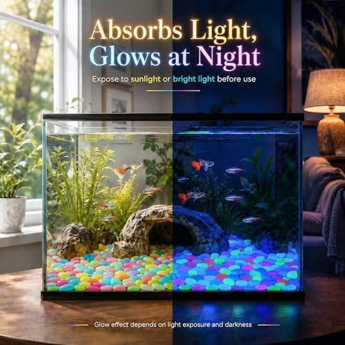 Glow in the Dark Rocks Outdoor, Night Guide Pebbles for Aquarium, Luminous Garden Stones for Landscape Decor, Yard, Walkway & Planter (1000, Multicolor) - Image 2