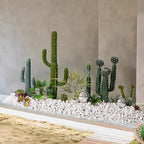 FANTIAN 10 lbs White River Rocks for Plants, Decorative Stones for Vase - Image 4