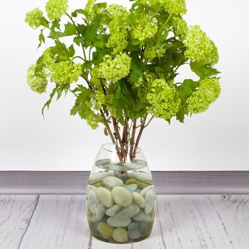 FANTIAN 20 lbs Jade River Rocks for Landscaping, 1-2 Inch Decorative Pebbles River Stones for Plants Indoor, Vases, Yard, Crafting and Garden - Image 4