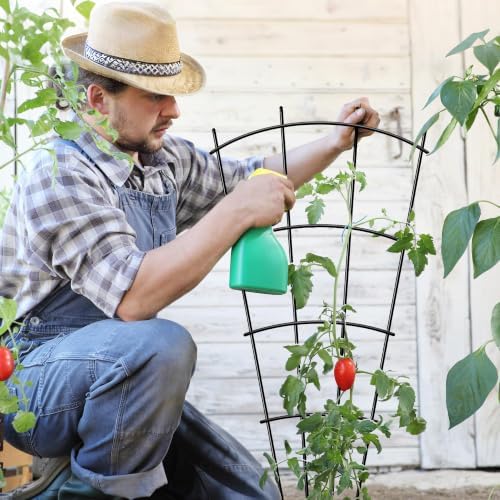 Thealyn 32" Metal Plant Trellis, Climbing Plant Support, 4 Pack Black - Image 3