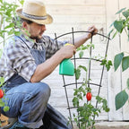 Thealyn 32" Metal Plant Trellis, Climbing Plant Support, 4 Pack Black - Image 3