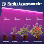 FREELICHT 2Pack 4FT Grow Light for Indoor Plants, 40W=250W, Red Blue - Image 2