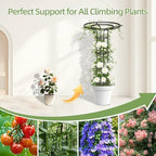 Garden Trellis for Climbing Plants Outdoor,84.6" Tall Umbrella Trellis - Image 4