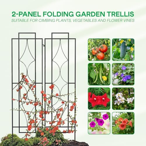 IDZO 2-Piece Diamonds Design Decoration Trellis, Metal Decorative Trellis for Climbing Plants Outdoor, Garden Trellis for Climbing Plants, Climbing Rose Trellis, 48-Inch Tall Each, Black - Image 3