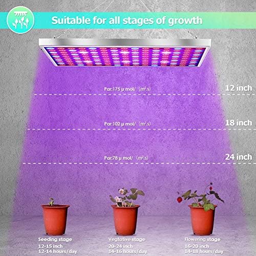 Diboys LED Grow Light for Indoor Plants, 45W Plant Lights Full Spectrum Panel Grow Light for Seedlings, Succulents, Micro Greens, Vegetable and Flower, 2 Pack - Image 3