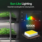 VIVOSUN T5 Grow Lights for Indoor Plants, 5000K Full Spectrum, 2FT - Image 3