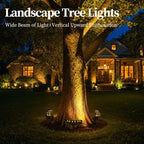 Tree Lights Outdoor,IP65 Waterproof Palm Tree Lights,DC12V,4 Pack - Image 7