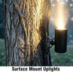 Landscape Lighting Low Voltage Tree Lights Outdoor Down Uplights - Image 6